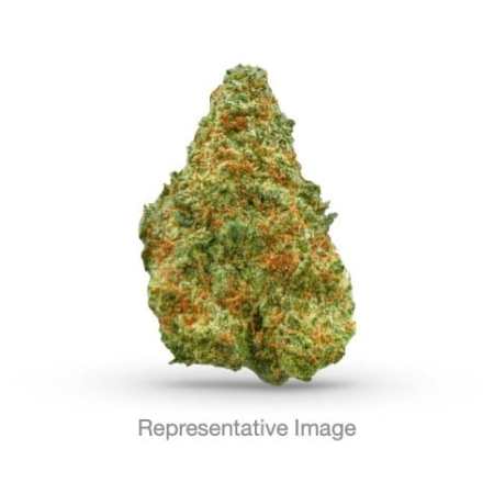 Rosin Vacuum Infused Preroll