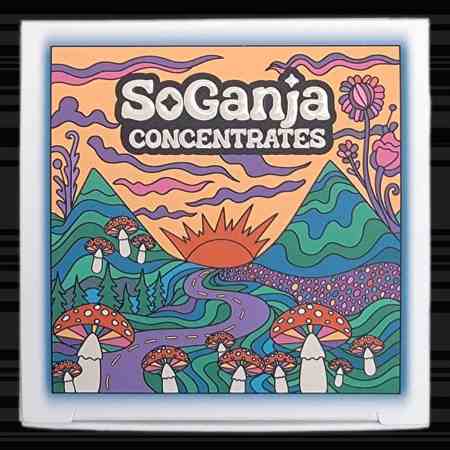 Full-Melt Dry Sift Hash